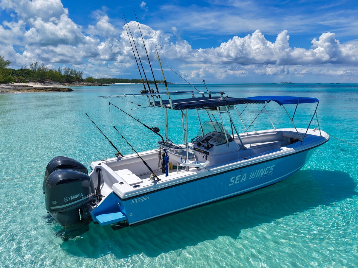 Boat photo for Private Charter - 29' Intrepid