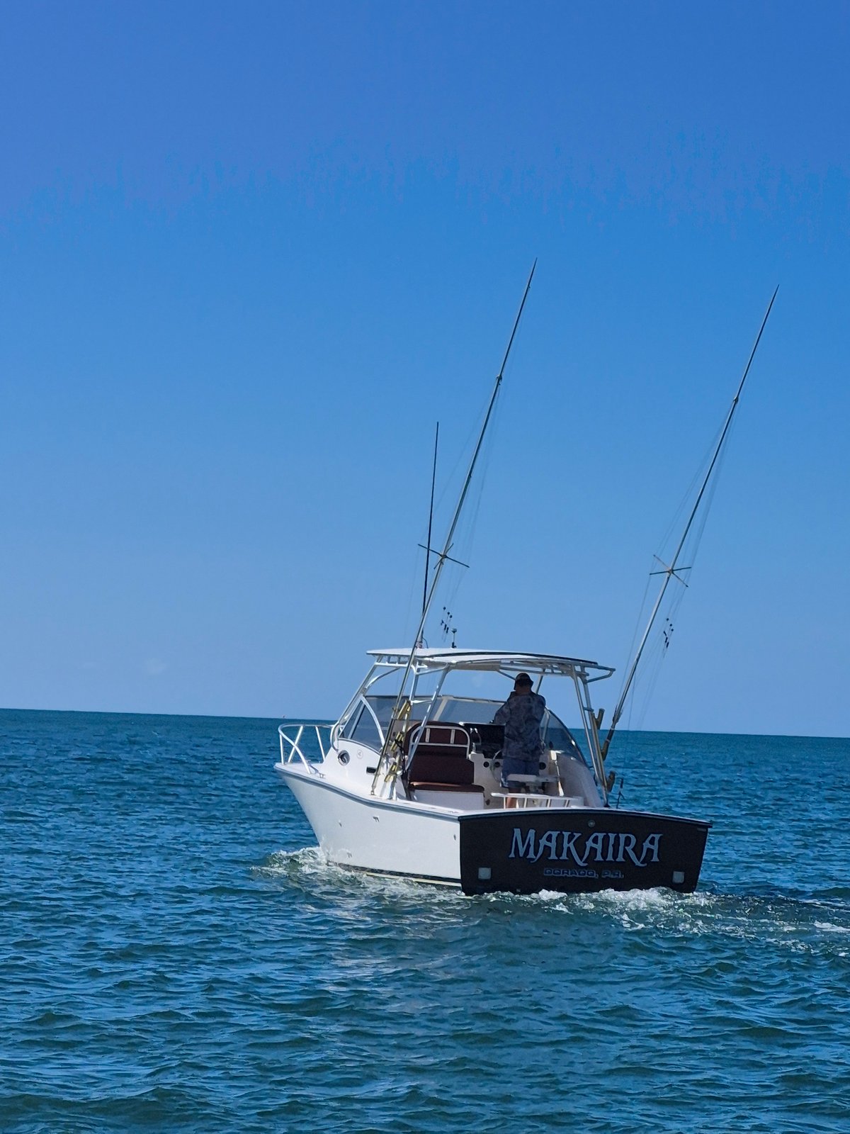 Boat photo for Bio Bay Tour