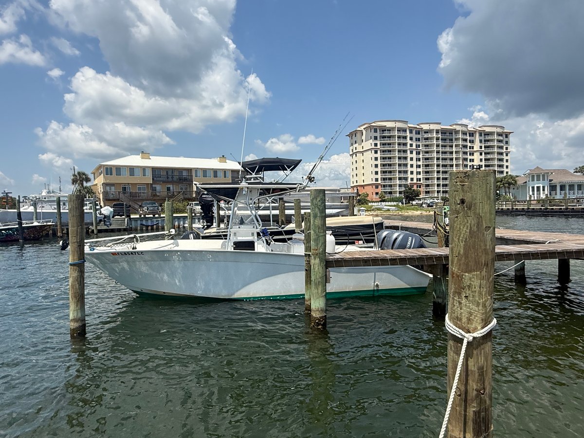 Boat photo for 26’ Cape Horn Snapper Trigger Fish