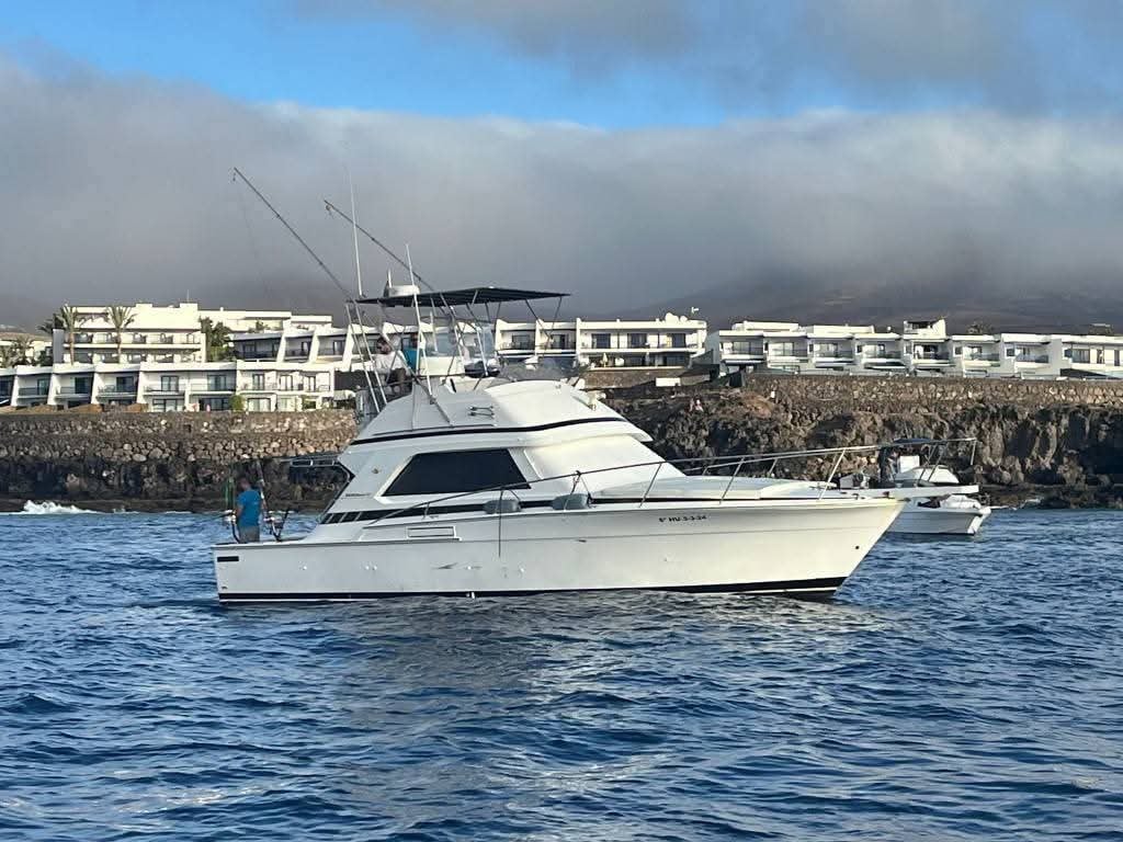 Boat photo for Blue Marlin Trip In Canary Ilsnad