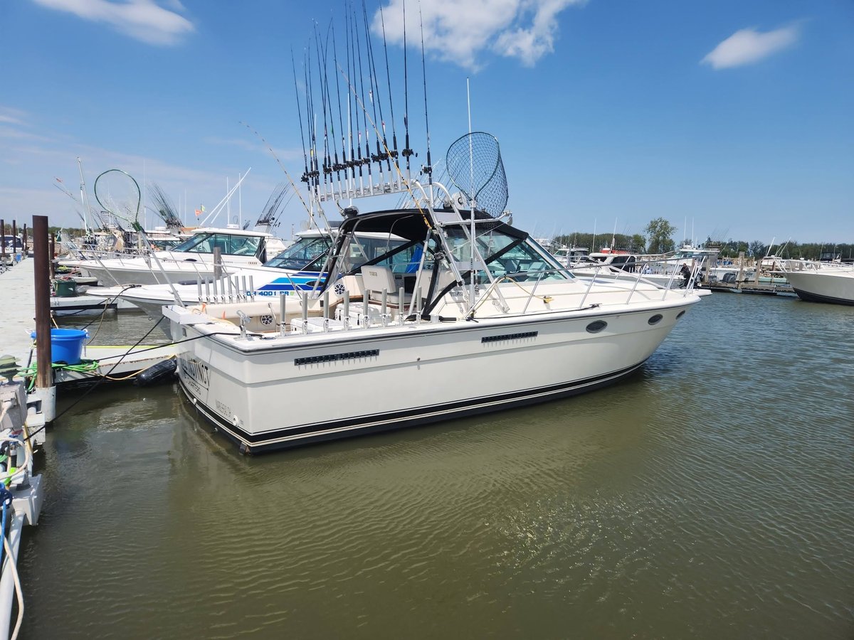 Boat photo for Lake Erie Walleye