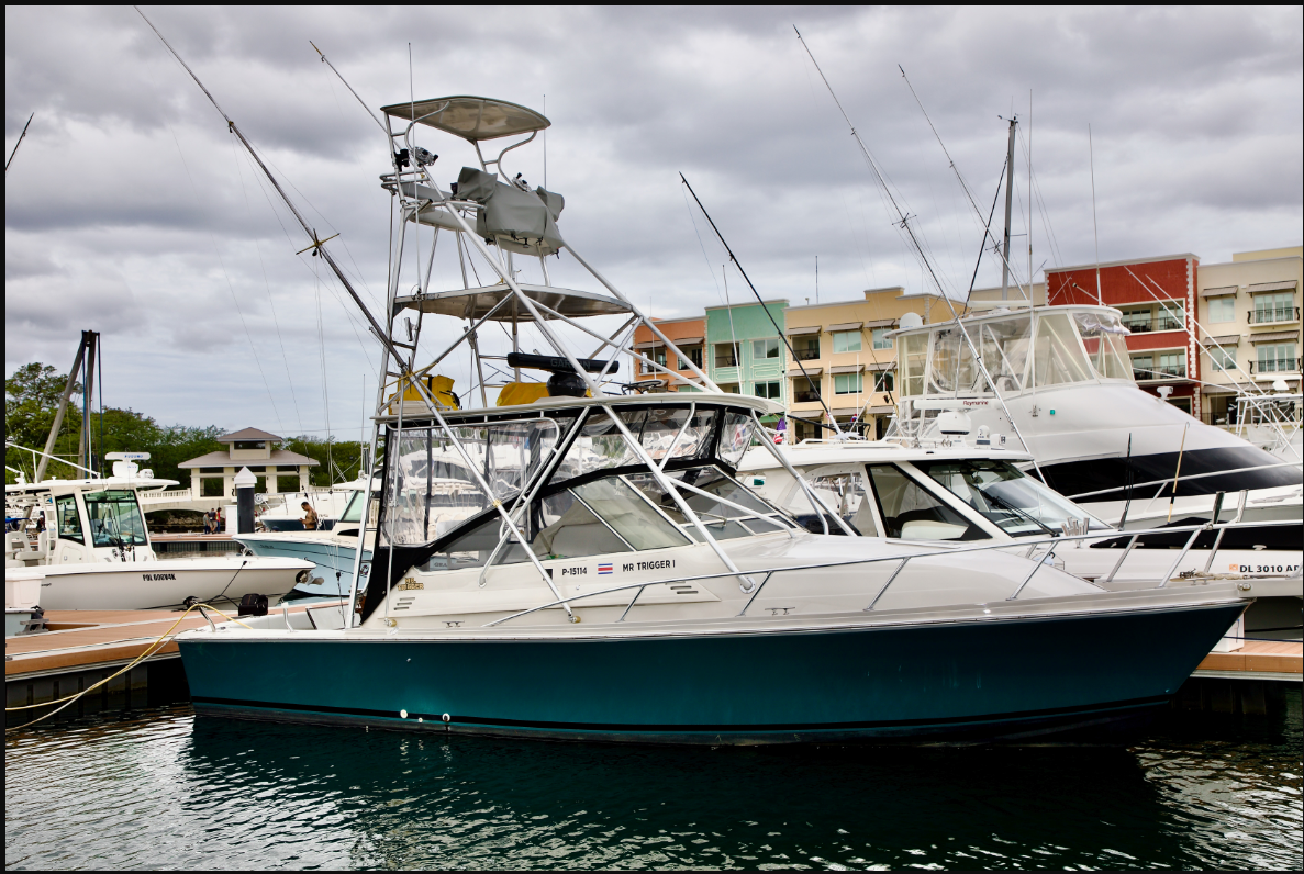 Boat photo for Half Day Adventure 
