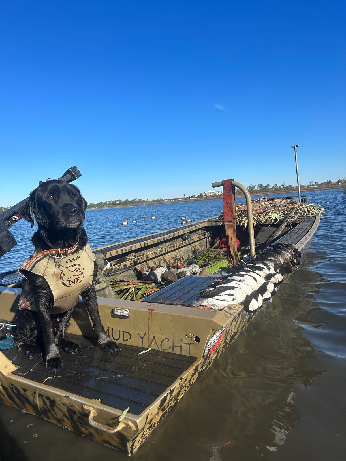 Boat photo for Coastal Duck Hunting 