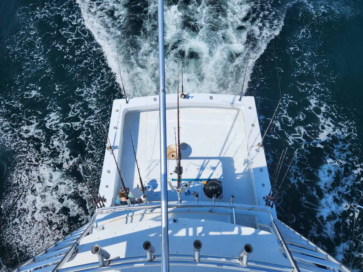 Boat photo for 6 Hr Bottom/Trolling - 55' Gillman