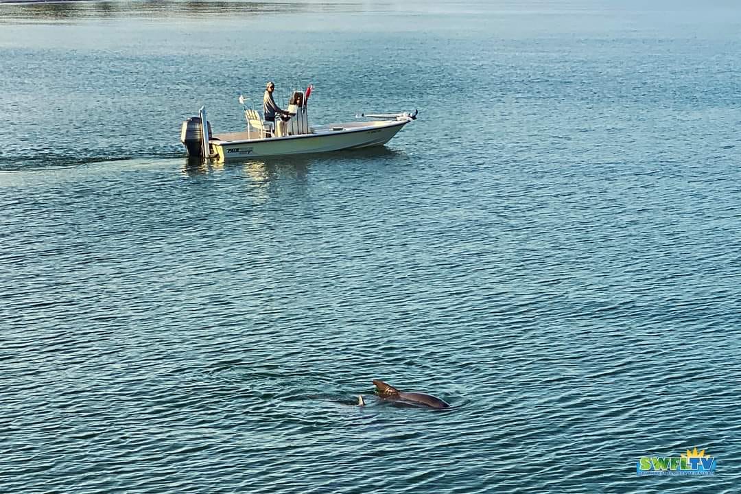 Boat photo for 4 Hour Trip - 20' Pathfinder