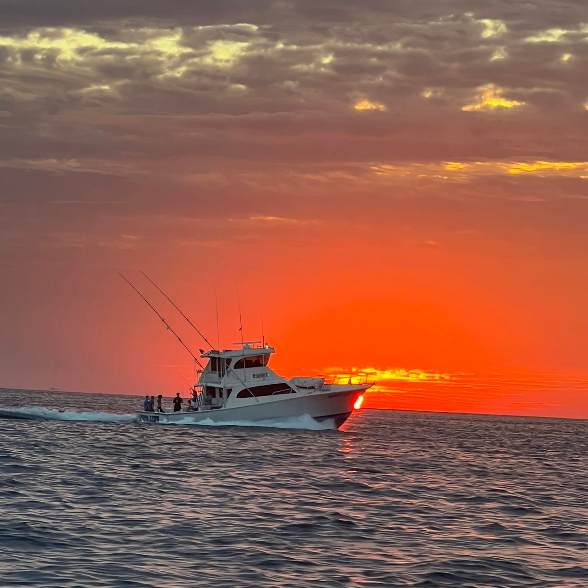 Boat photo for Destin Shark Action