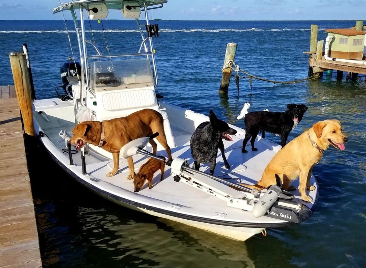 Boat photo for Rockport Bay Fishing