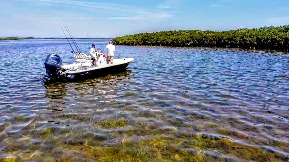 Boat photo for Crystal Coast Scalloping
