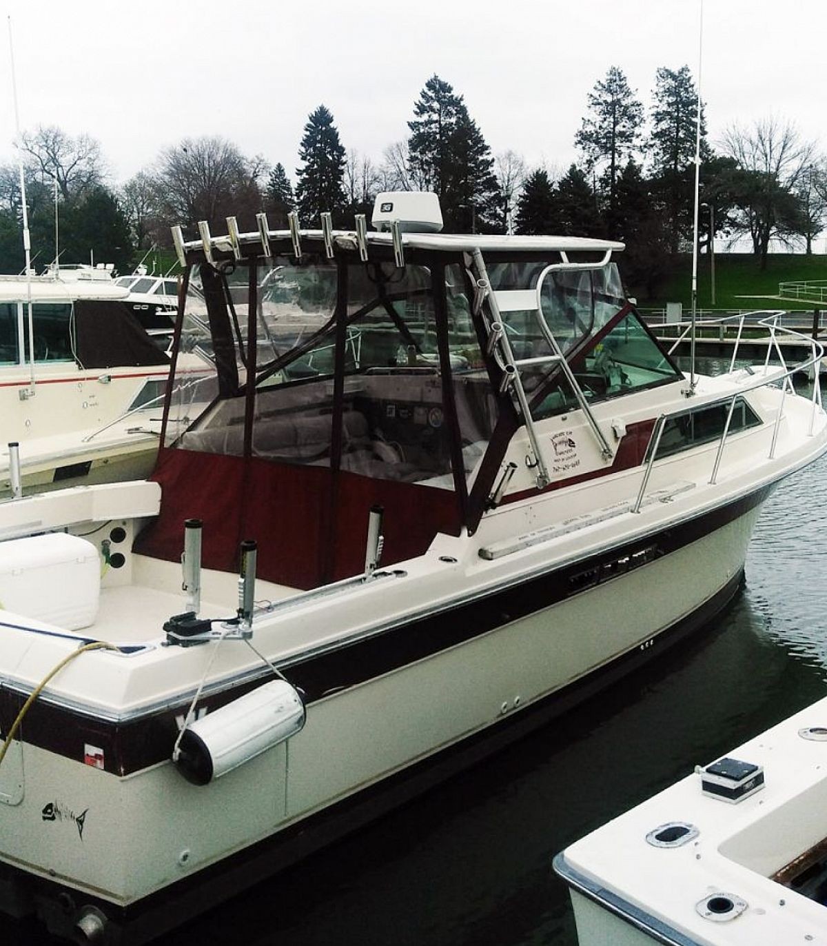 Boat photo for Kings, Coho, & Big Ol' Lake Trout