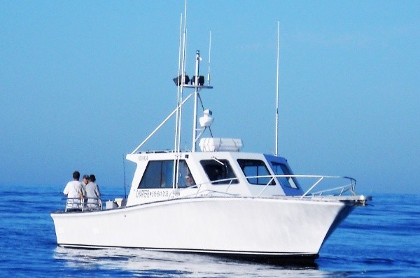 Boat photo for Montauk Tuna Special