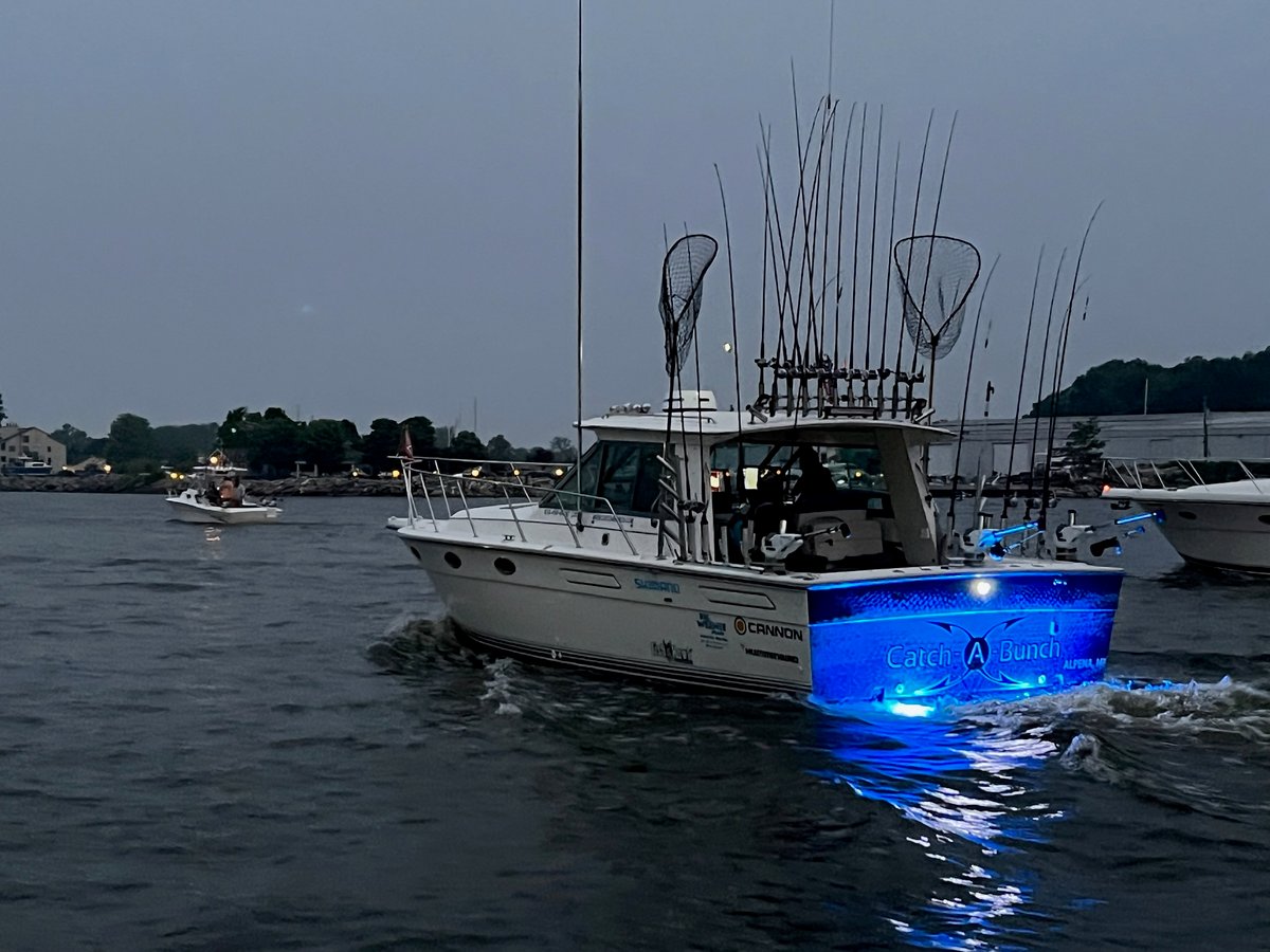Boat photo for Lake Michigan Trout & Salmon