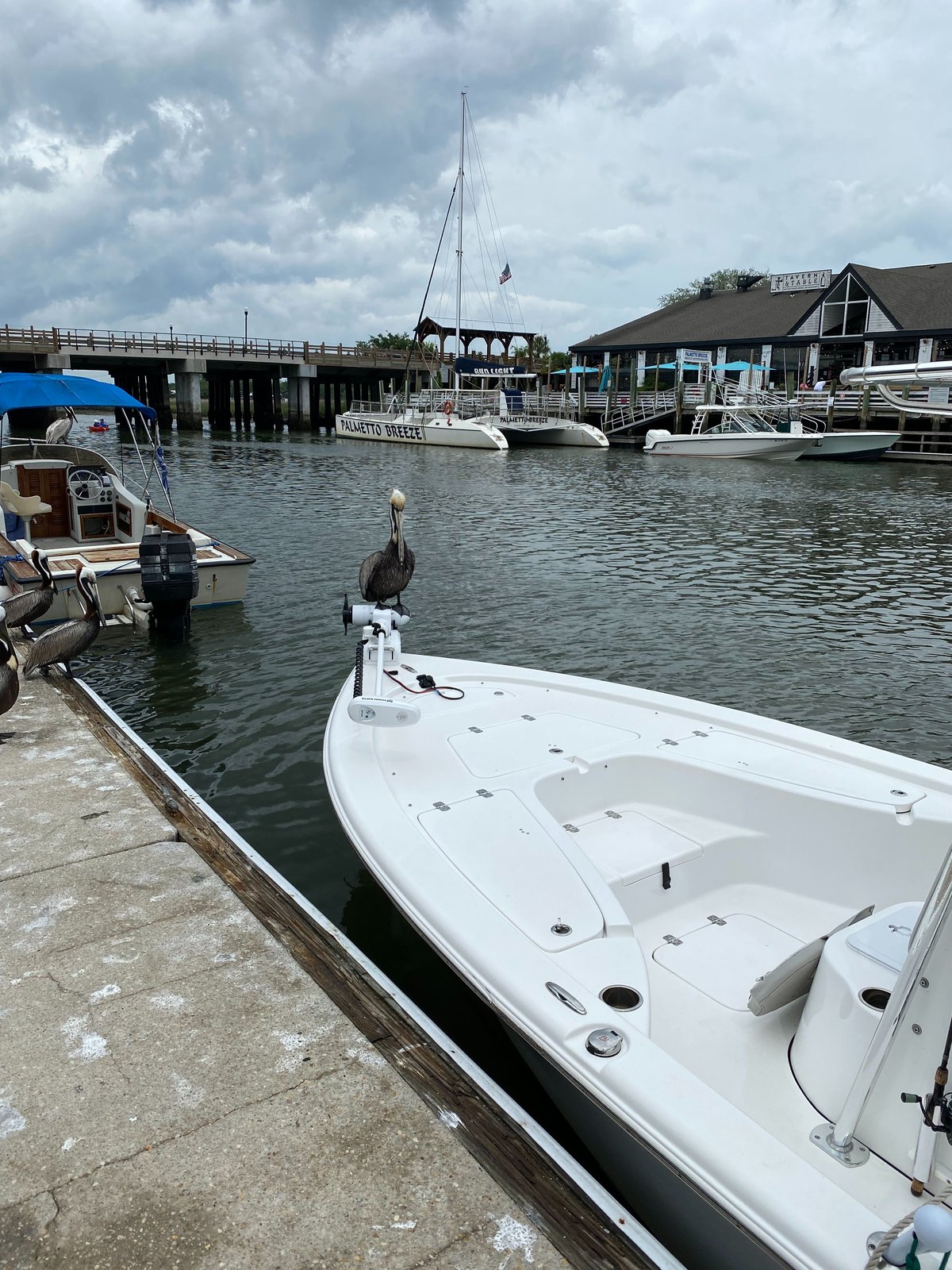 Boat photo for Half Day On Light Tackle