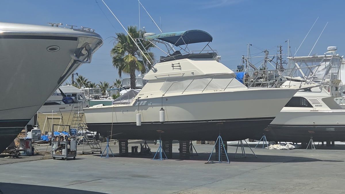 Boat photo for 1/2 Day Trip