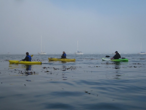Boat photo for Pismo Beach Kayak Fishing Special