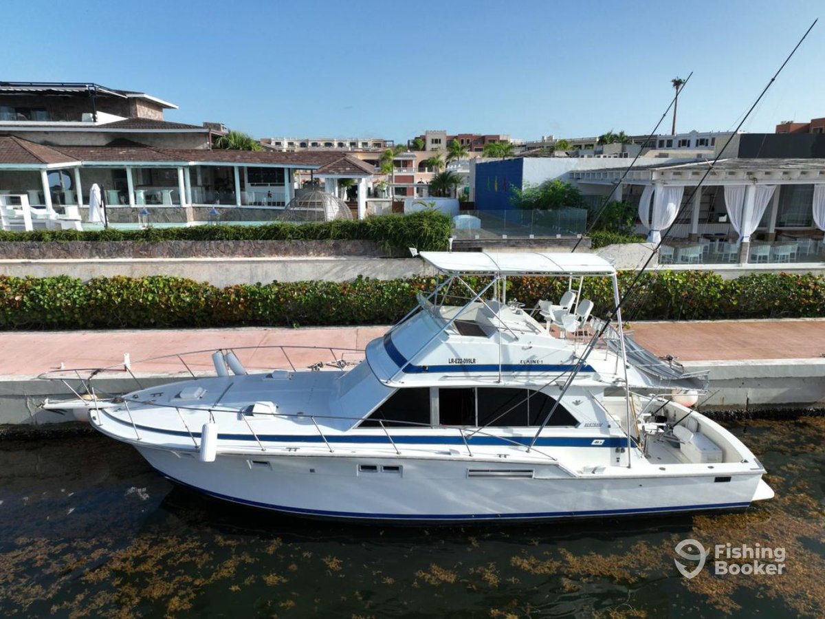 Boat photo for Punta Cana Bottomfishing