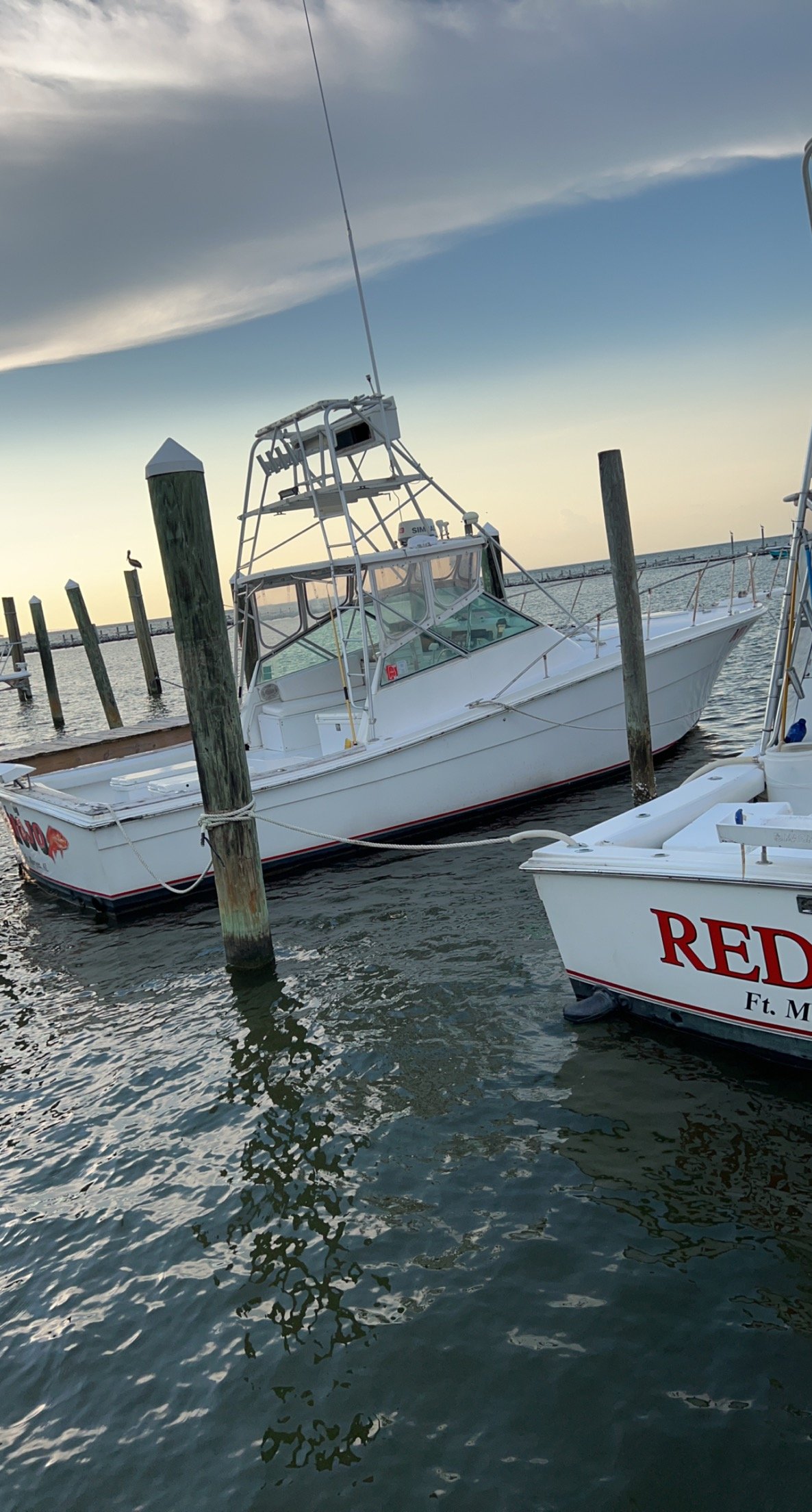 Boat photo for Best Bottom Fishing- Gulf Shores
