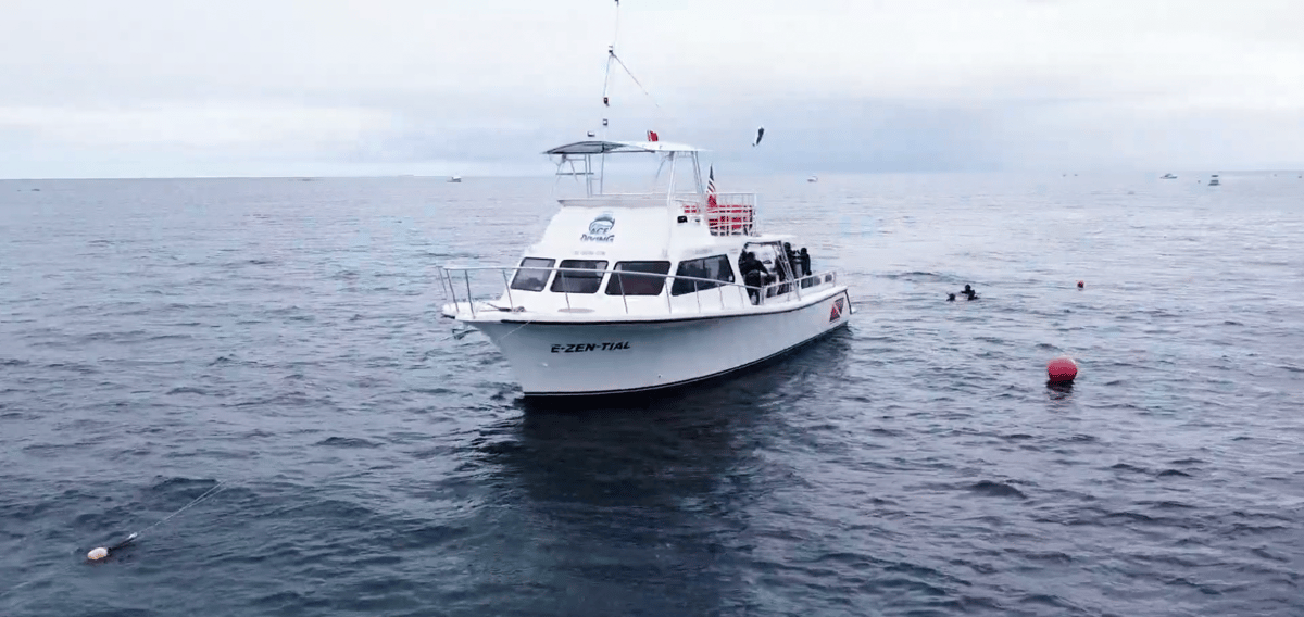 Boat photo for Lobster Diving Miami