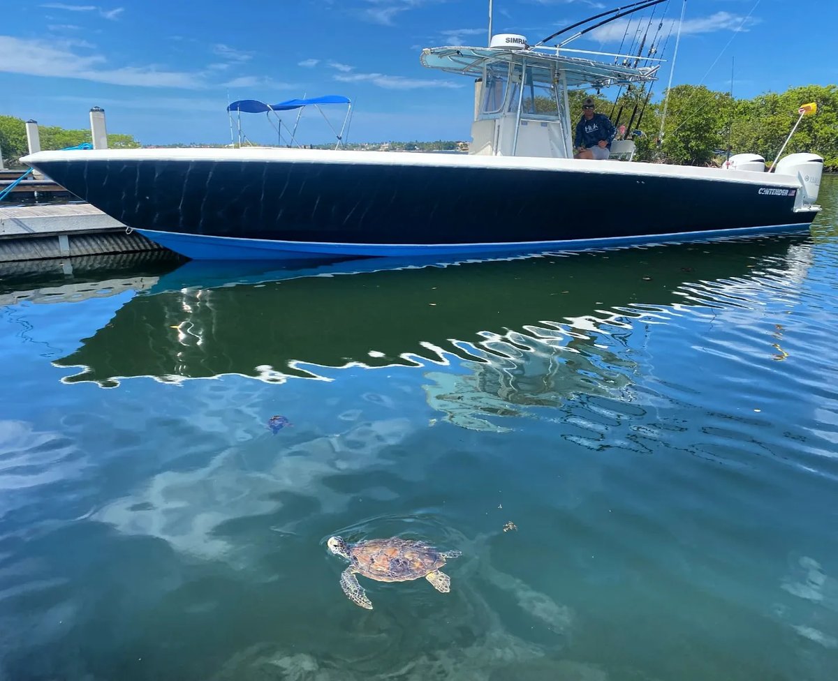 Boat photo for #1 Offshore Charter