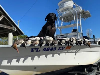 Boat photo for Self Guided Duck Hunts