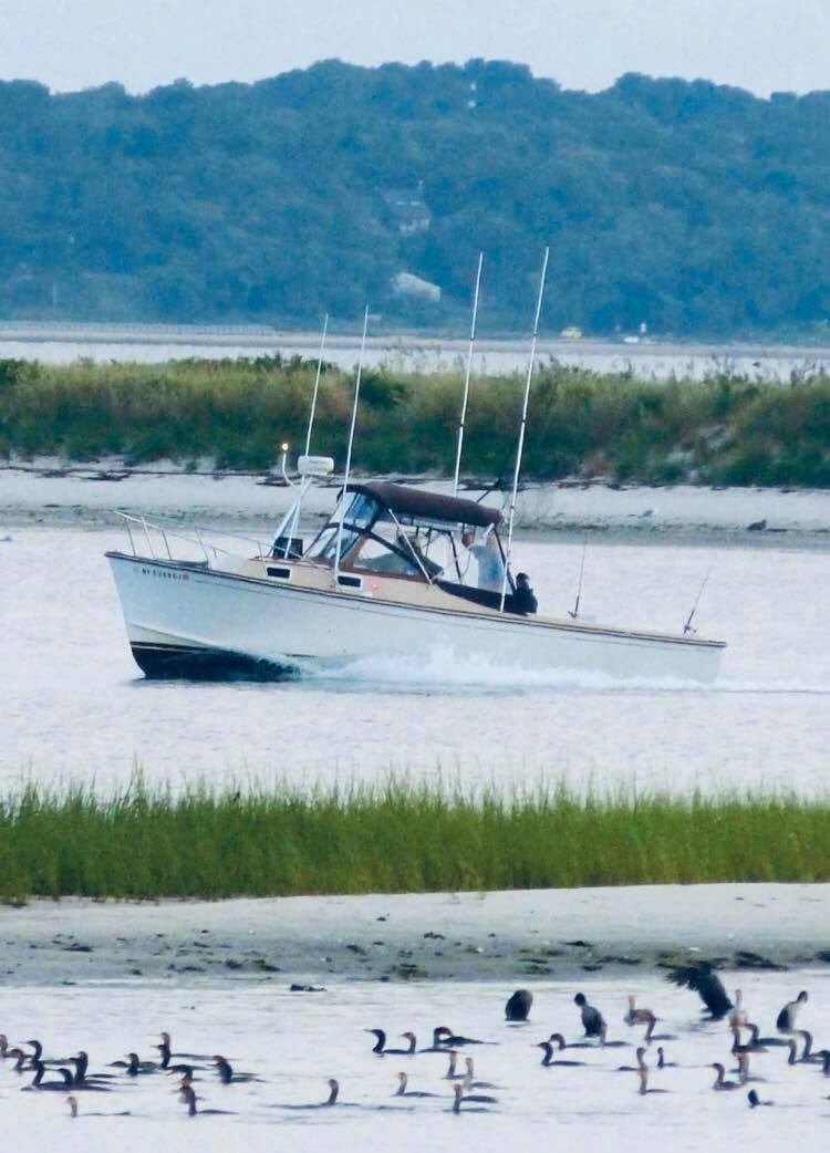Boat photo for 3 Hour Inshore Special