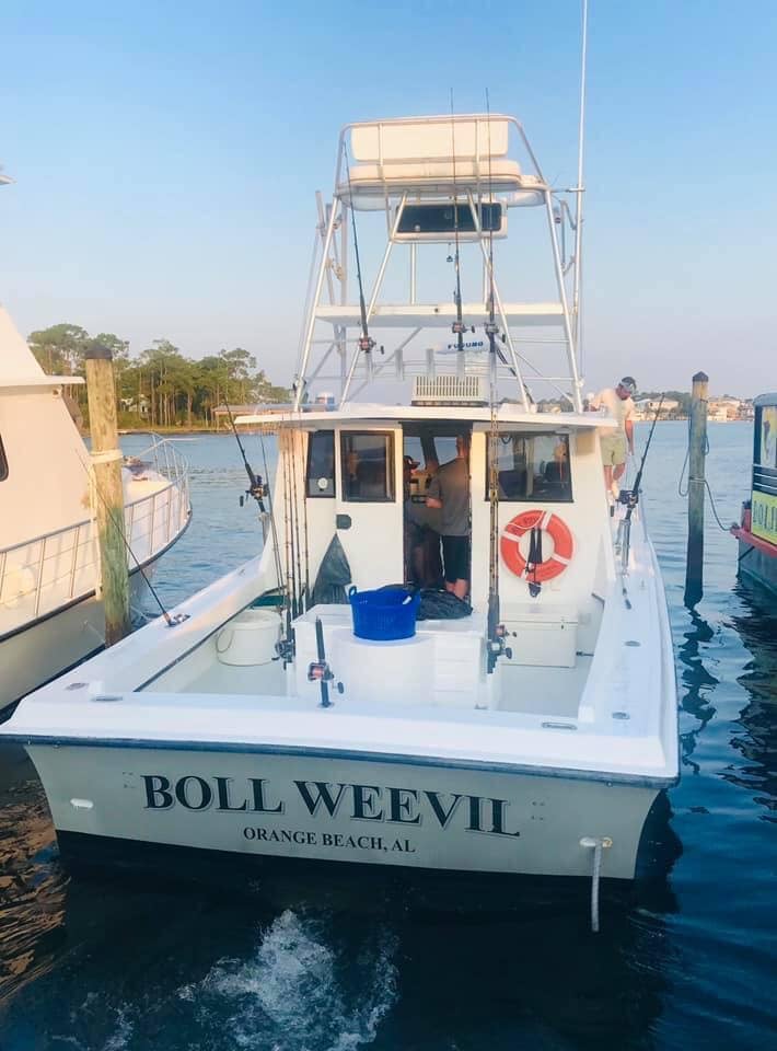 Boat photo for 8 Hr Bottom Fishing & Trolling