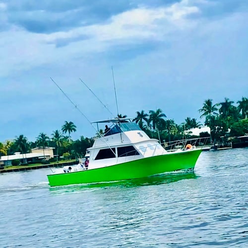 Boat photo for Dania Beach Offshore