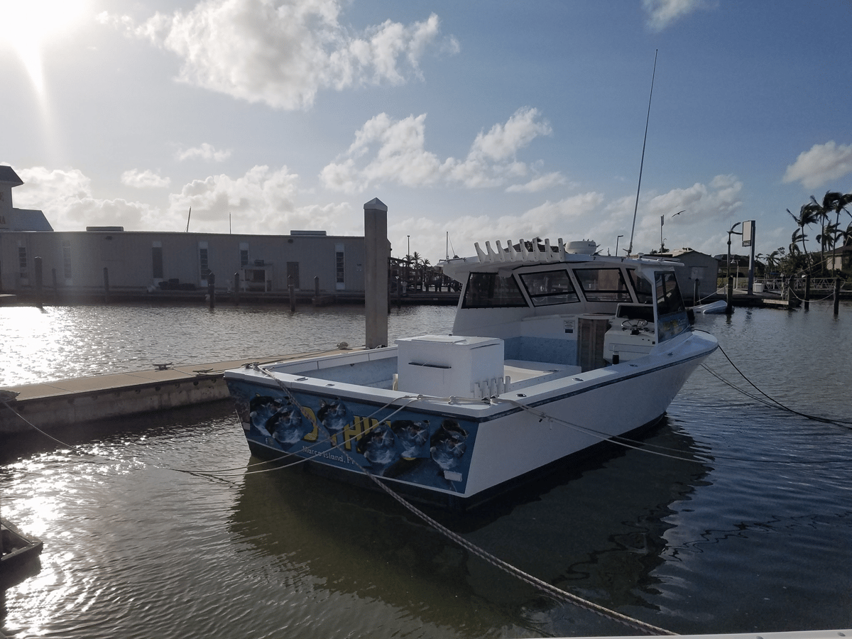 Boat photo for Marco Island Charter Fishing