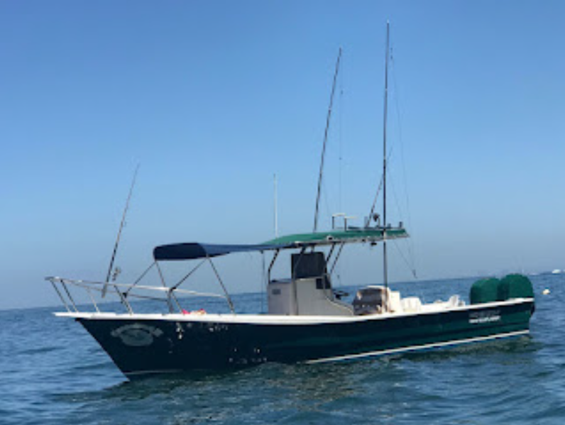 Boat photo for 4 Hours Inshore