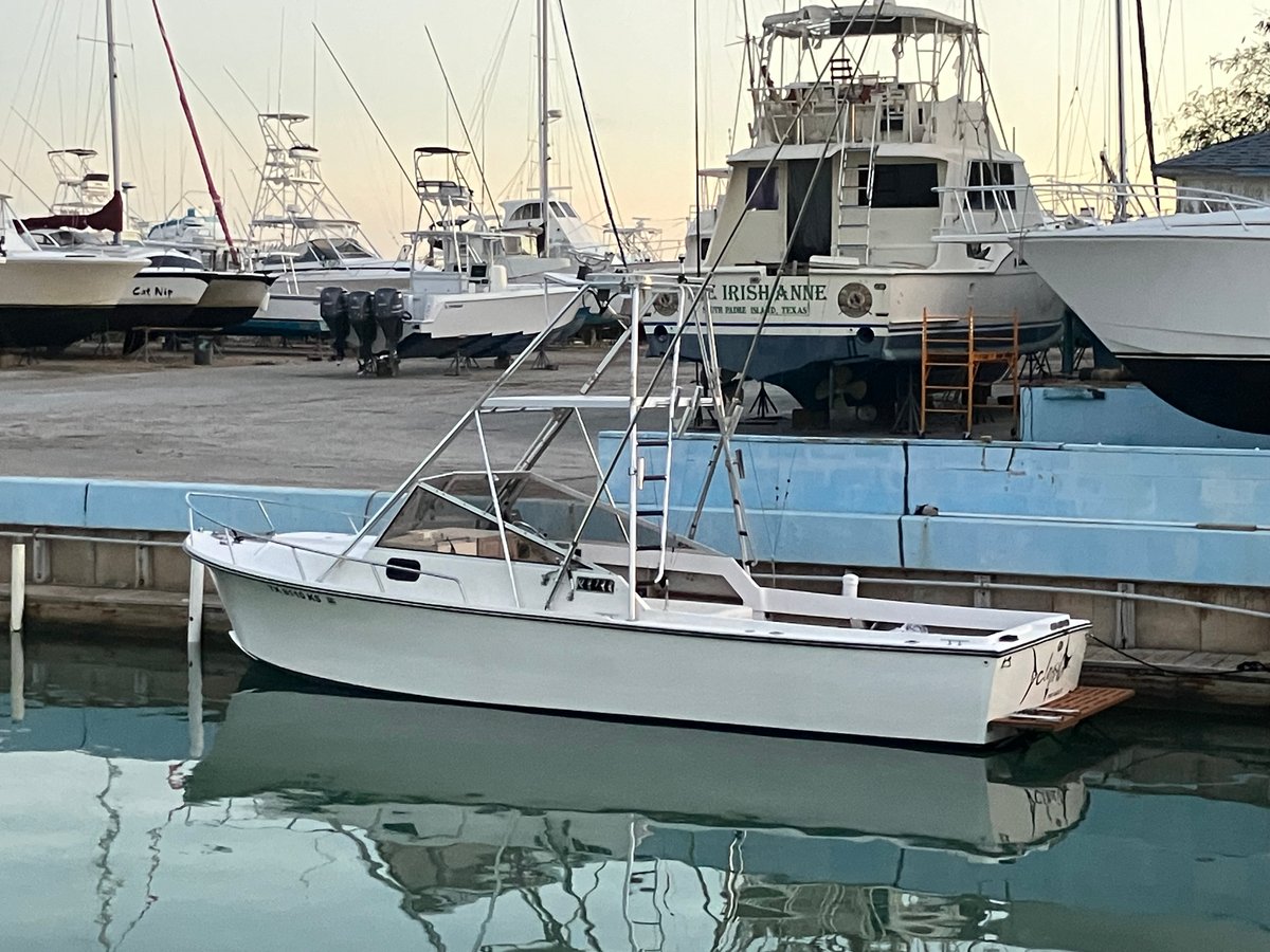 Boat photo for SPI Dolphin Watch