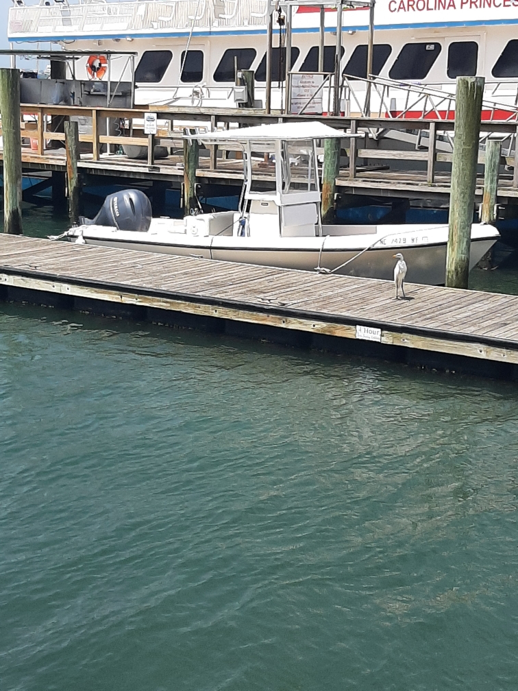 Boat photo for Shallow Water Flats Fishing