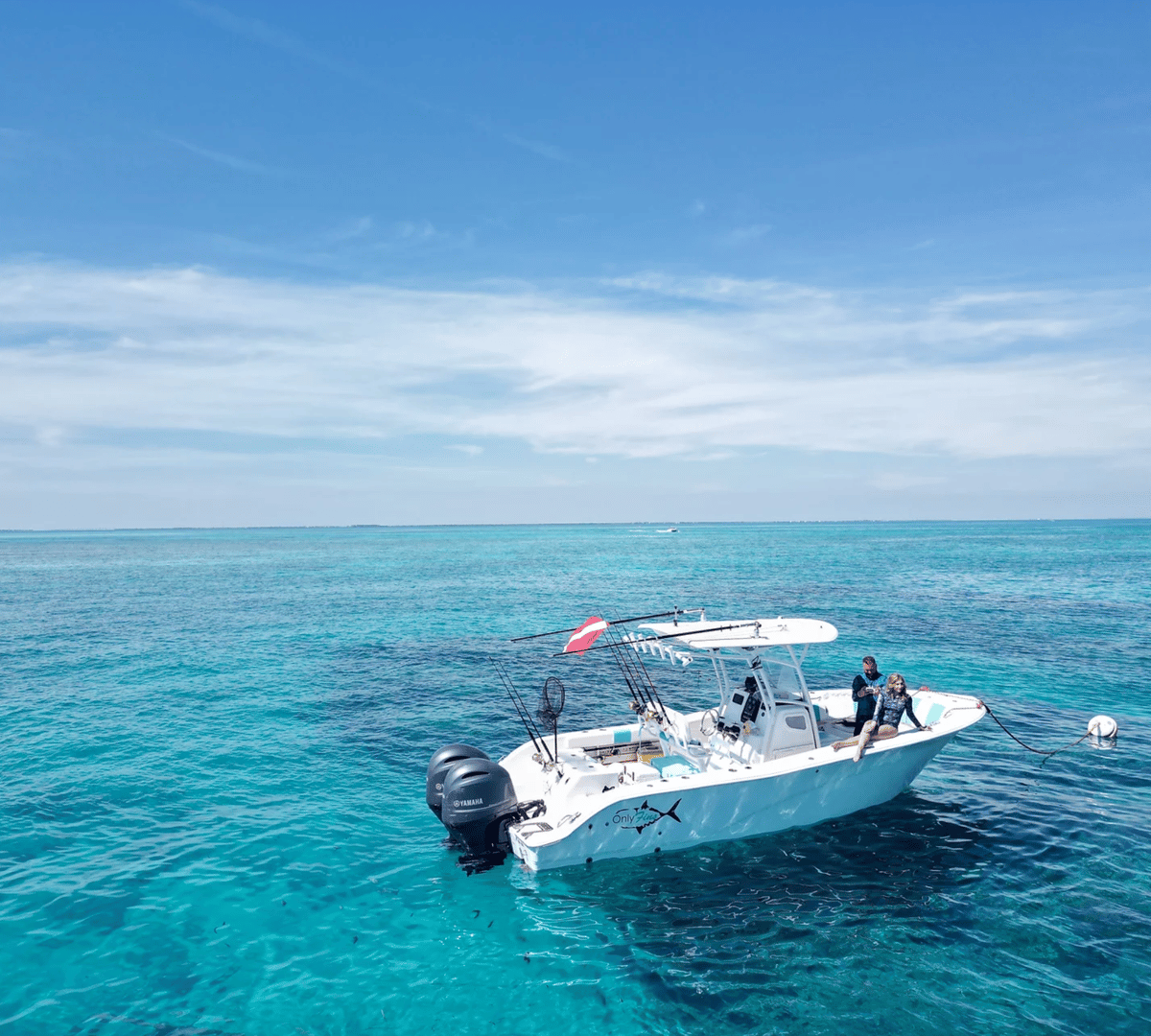 Boat photo for Marathon Reef And Bride Adventure