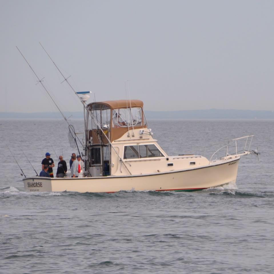 Boat photo for Half Day Trip: Inshore