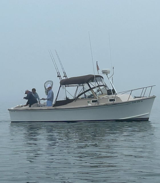 Boat photo for 4 Hour Inshore Fishing Trip