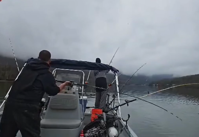 Boat photo for Tennessee River Fishing Trip