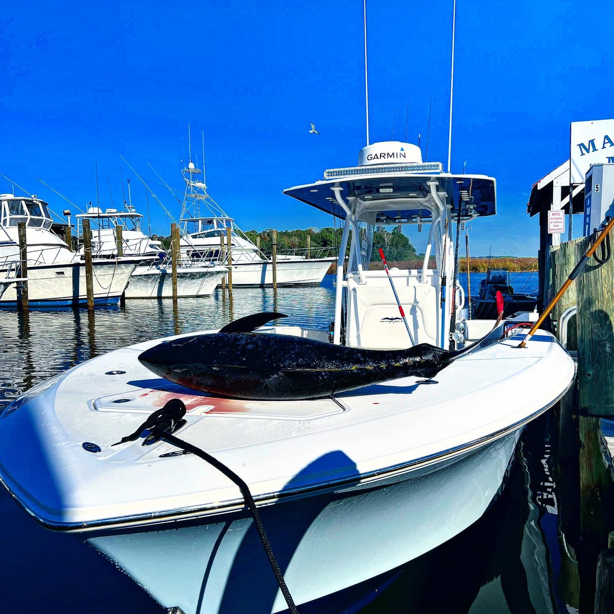 Boat photo for Full Day Gautier Offshore