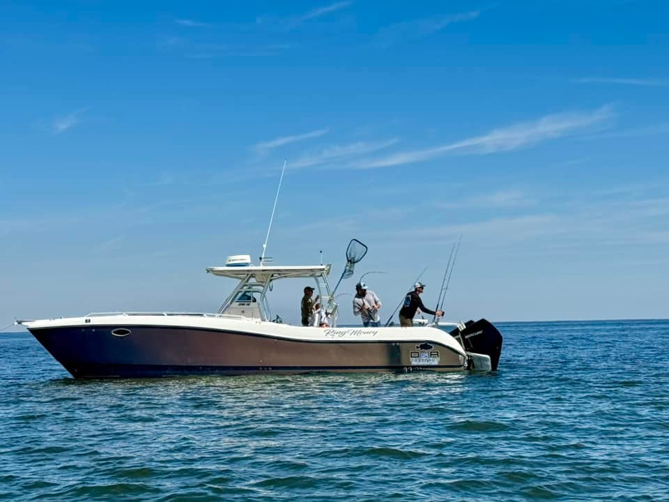 Boat photo for Fernandina Beach Full Day