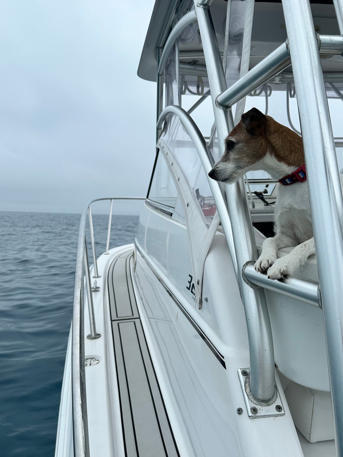 Boat photo for Lobstering & Snorkeling