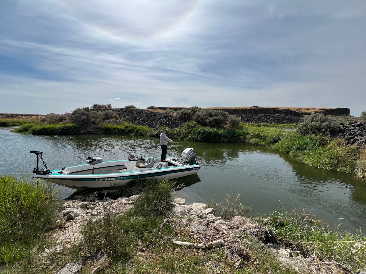Boat photo for Fly Fishing For Bass