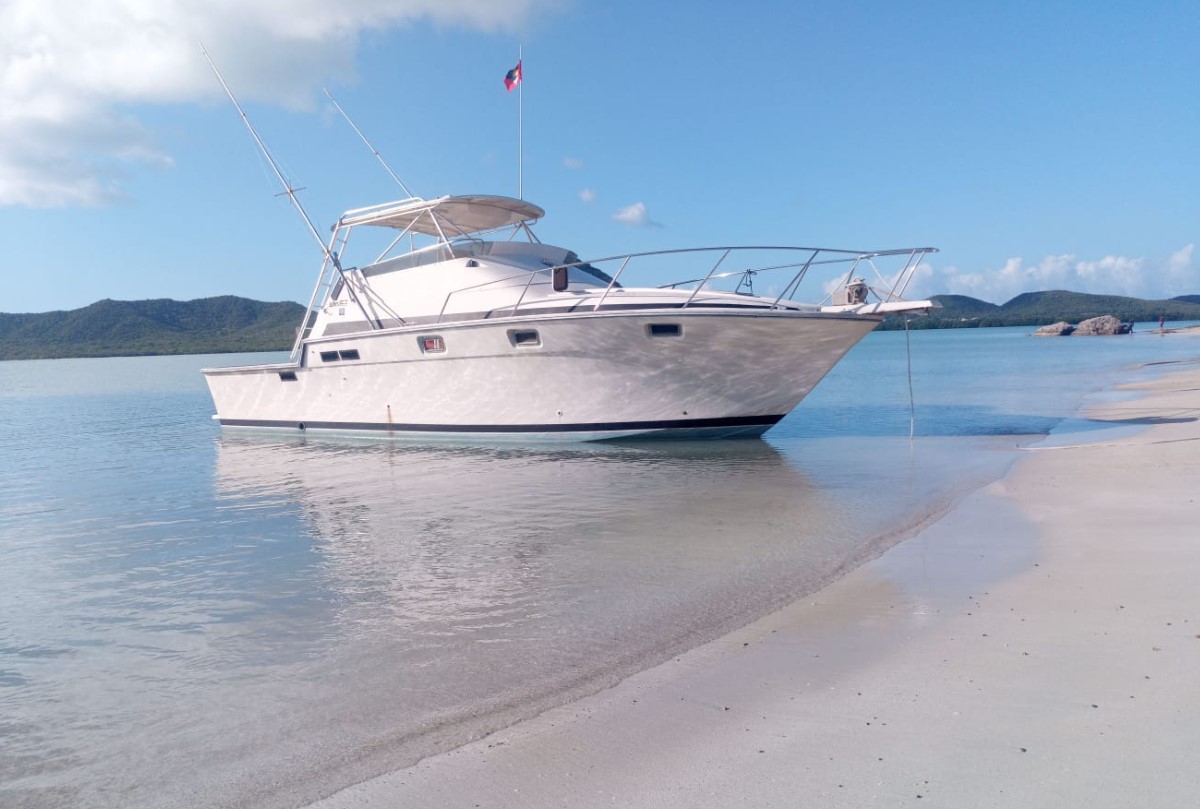 Boat photo for Night Fishing Charter