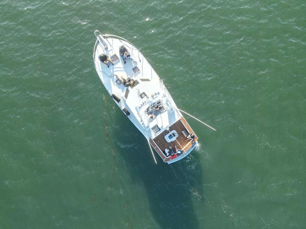 Boat photo for Bay & Sunset Cruise