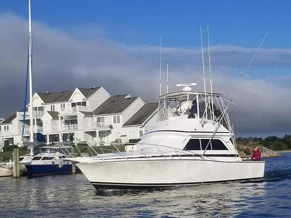 Boat photo for Virginia Inshore Trips