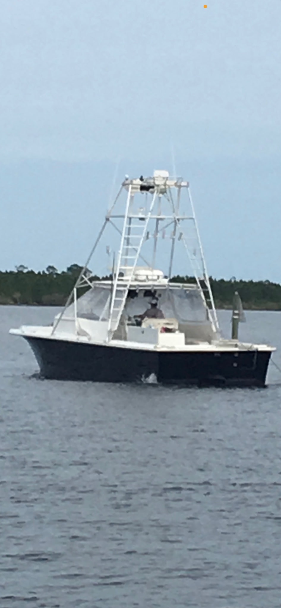 Boat photo for Family Fun Day Fishing / 36 Pursuit
