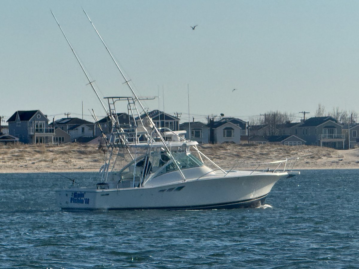 Boat photo for Captain's Choice: Half Or Full Day