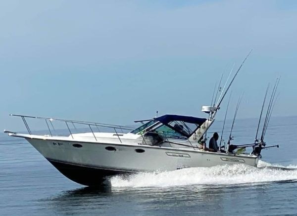 Boat photo for 4-7 Hour Trip