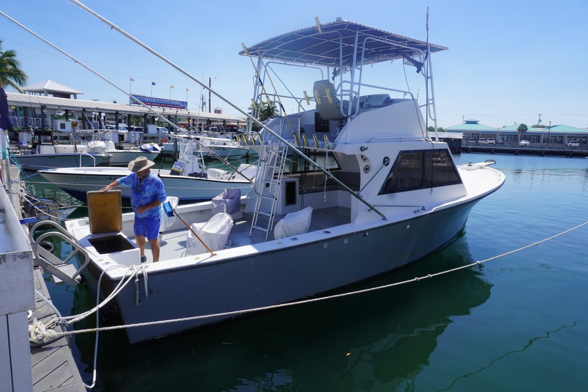 Boat photo for 6-8 Hour Reef & Wreck 