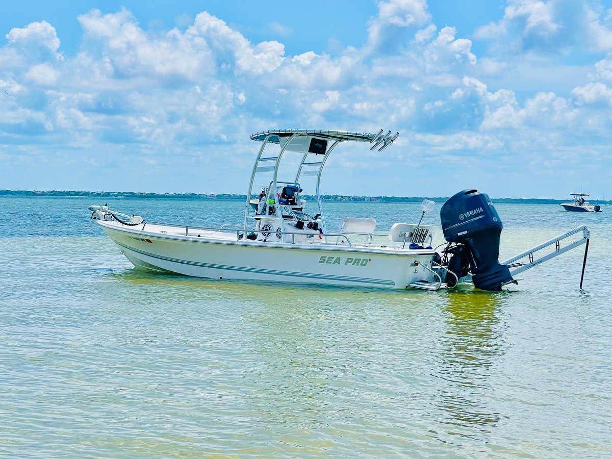 Boat photo for Dolphin And Shark Cruise
