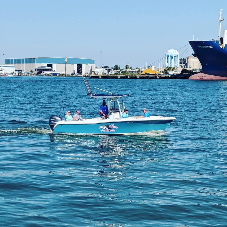 Boat photo for Bay Area Bird / Wildlife Observing 