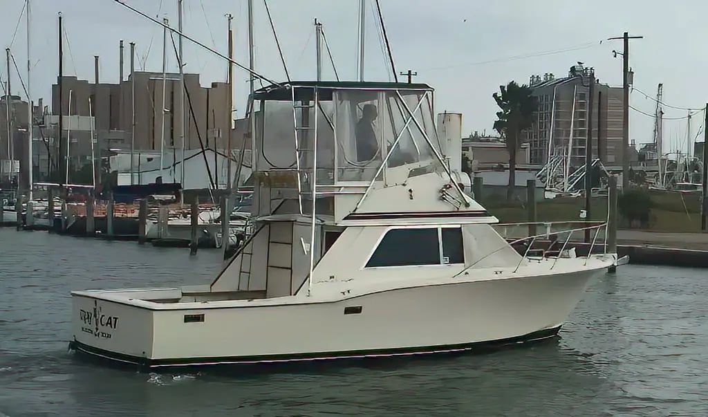Boat photo for Galveston Jetty Trip
