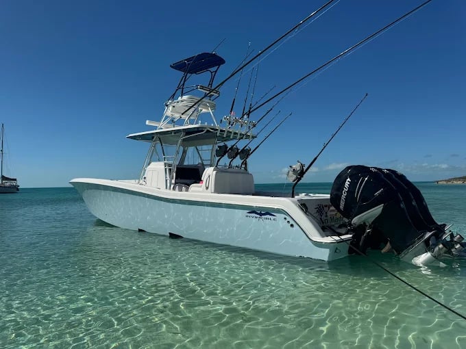 Boat photo for 4-8 Hours Offshore Trip