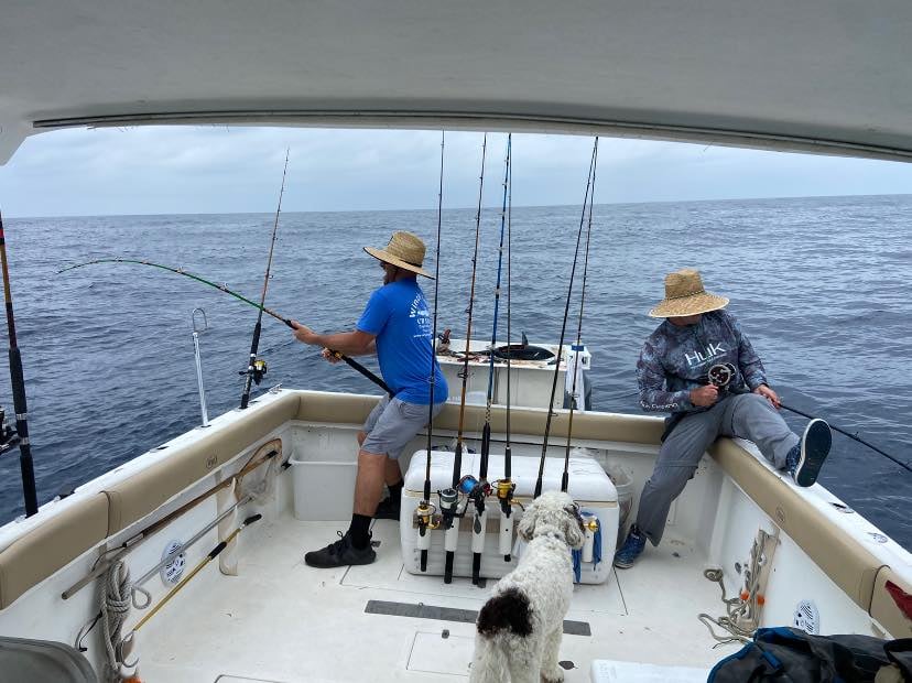 Boat photo for  4-8 Hour Offshore